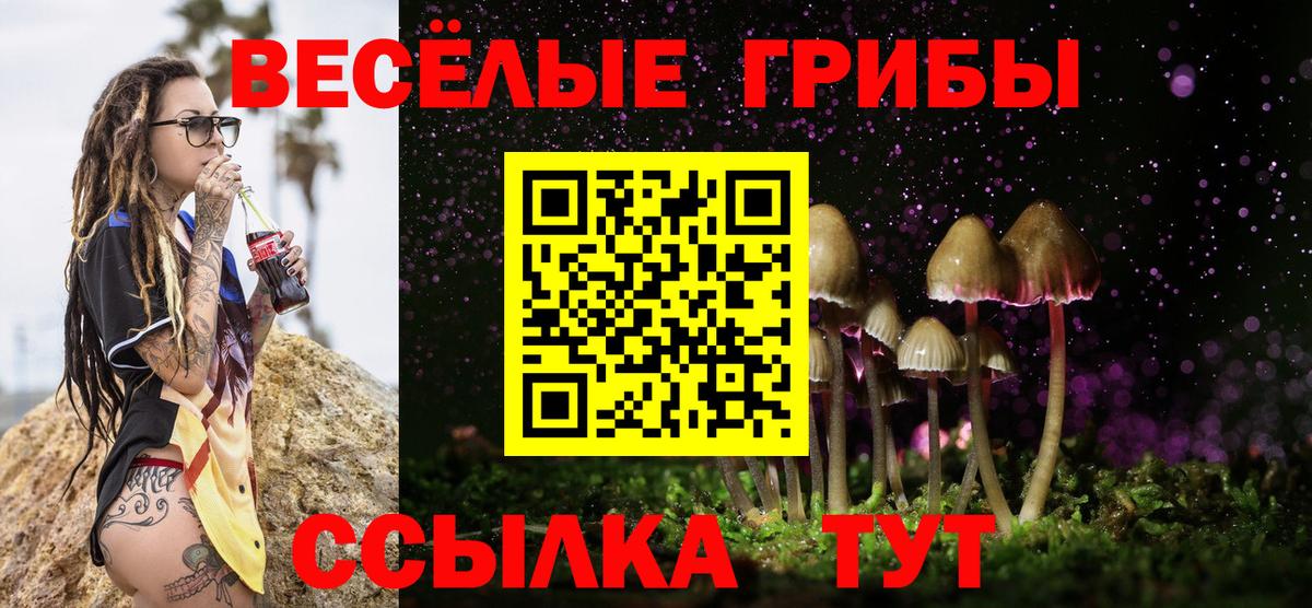 Галлюциногенные грибы прущие грибы Крымск