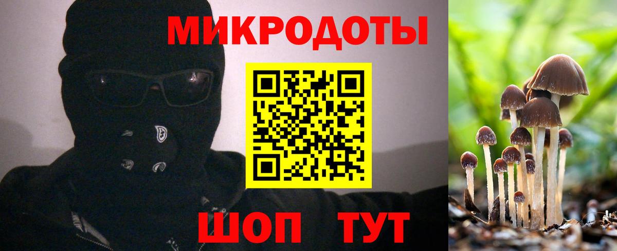 купить наркоту  Вход с VPN  Крымск  Галлюциногенные грибы мицелий 